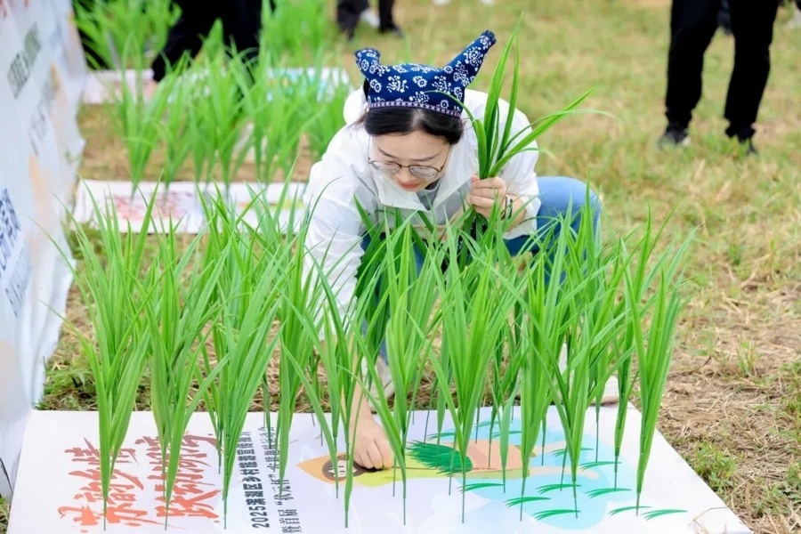 独轮运货, 葡萄哥, 农耕文化为